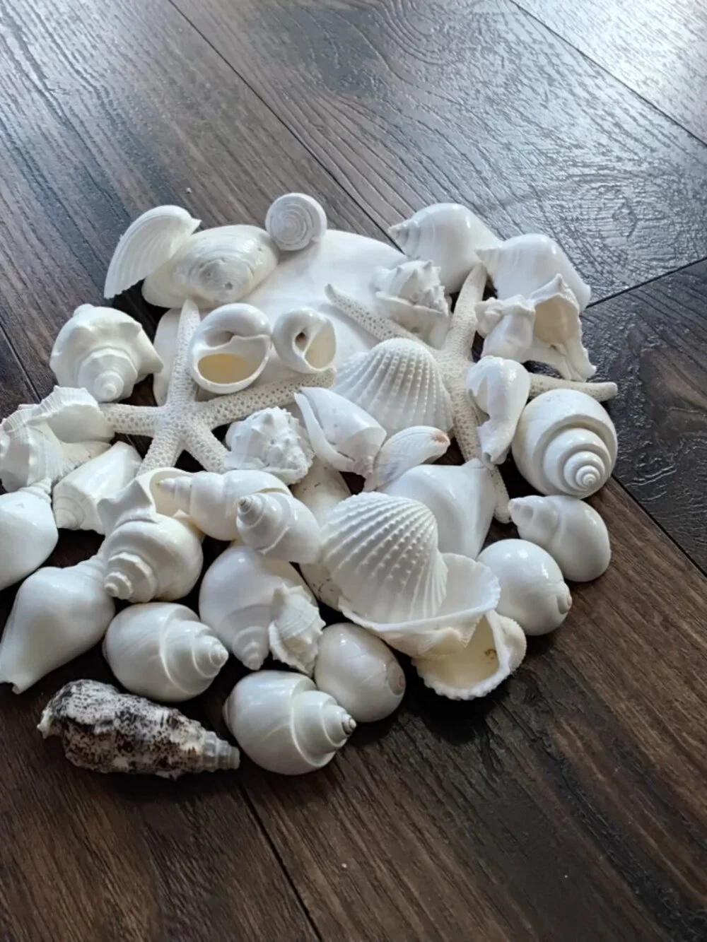 N/A these beautiful